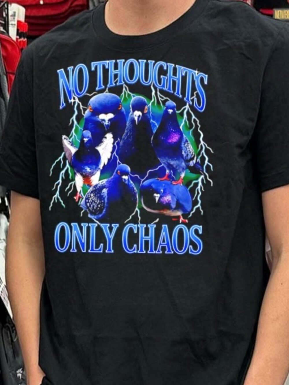 Pigeons No Thoughts Only Chaos T-Shirt